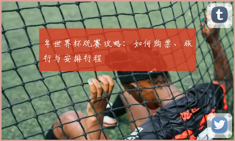 年世界杯观赛攻略:如何购票、旅行与安排行程