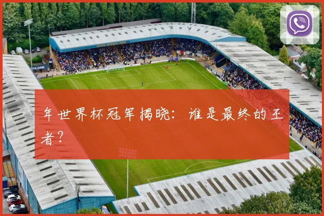 年世界杯冠军揭晓：谁是最终的王者？